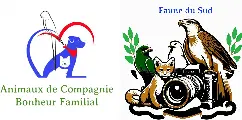 animaux-compagnie-faune-sud